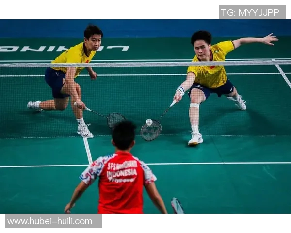 深入探讨武汉羽毛球队战术表现的数据分析与策略优化研究 深入探讨武汉羽毛球队战术表现的数据分析与策略优化研究