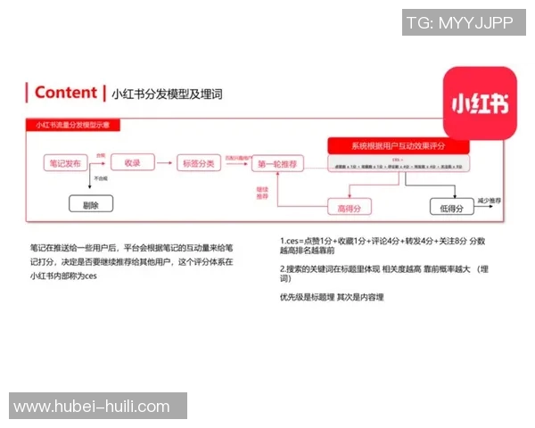南京飞盘队的运营策略与发展模式深度解析 南京飞盘队的运营策略与发展模式深度解析